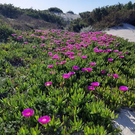Casa Gerhard A 3 Km Da Santa Teresa Loc Ruoni * סנטה טרזה גאיורה